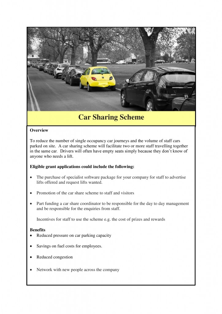Case studies car- Access to Employment-page-0