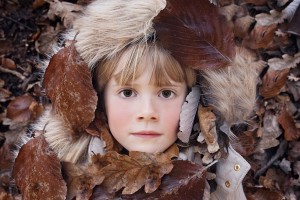 News & Information –  27th November