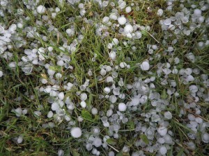 News & Information – 4th March 2016