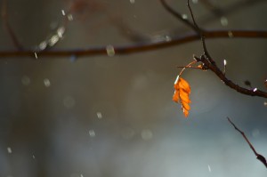 News  & Information – 19th February