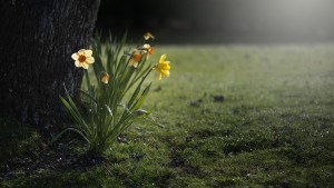 News & Information – 18th March