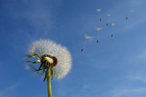 News & Information – April 29th