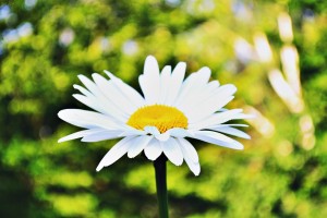 News & Information – 8th July