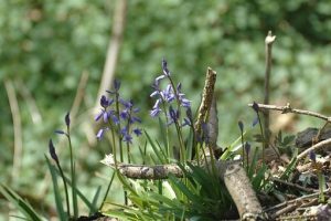 News & Information April 13th