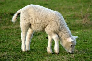 April 28th Newsletter