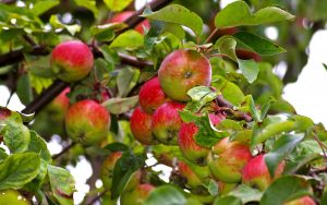 News & Information – 1st Sept 2017