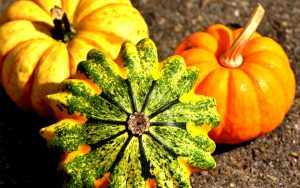 News & Information 27th October 2017