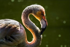 News & Information – 6th April 2018