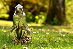 News & Information – 26th October 2018